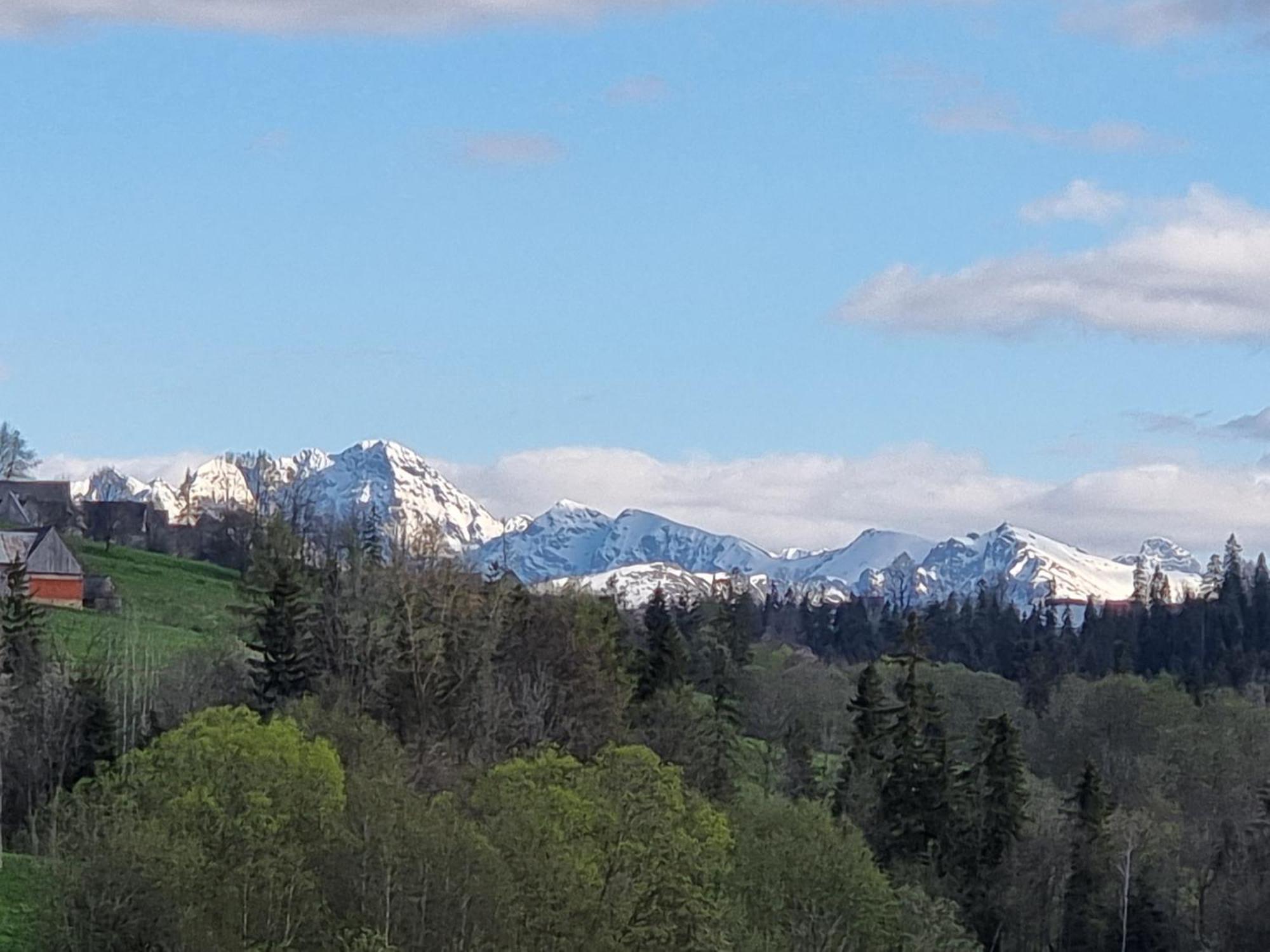 Domki U Jacka Sauna Bilard Tenis Air Hockey Pilkarzyki Bawialnia Plac Zabaw Zakopane Exterior foto